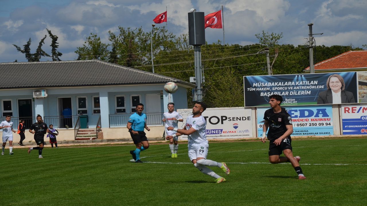 Efeler Ayvalikgucu (2)