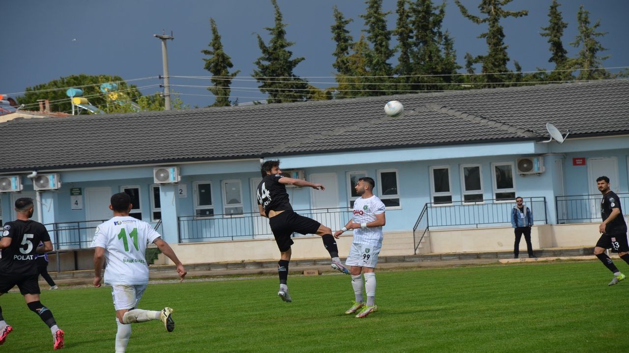 Efeler Ayvalikgucu (3)