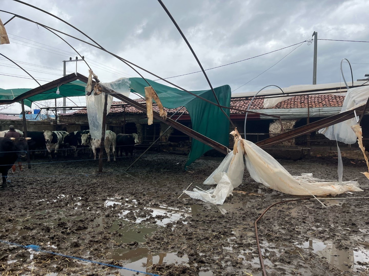 Fırtına Etkili Oldu (4)