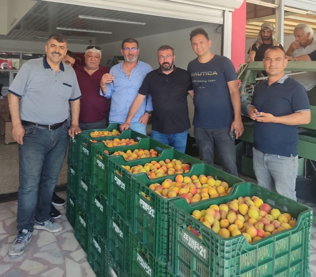Kayısıda Ilk Hasat Yapıldı 500 Tl'den Alıcı Buldu (4) (Large)