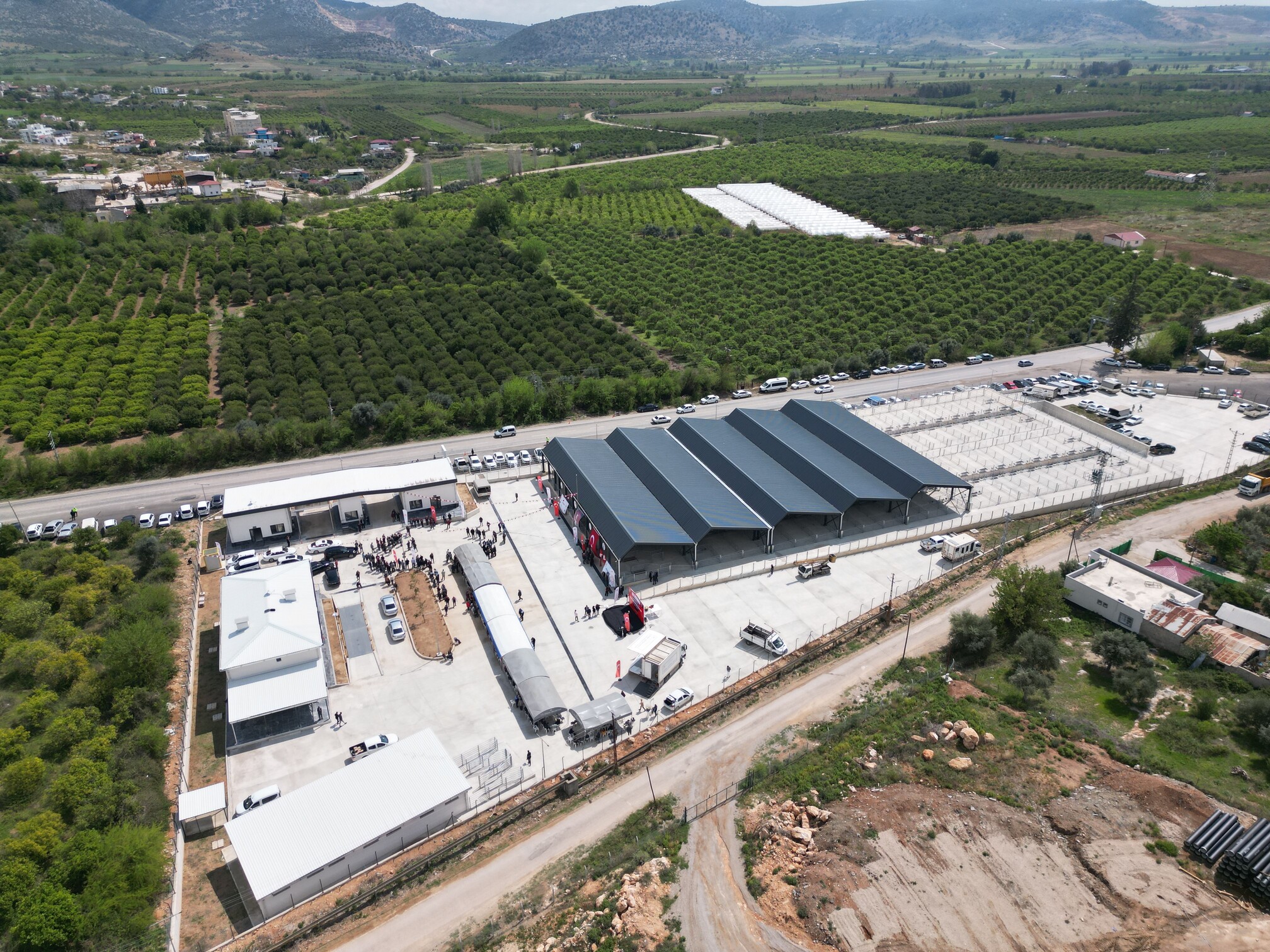 Kıran Kırana Kurban Pazarlıklı Pazar Açılışı (2)
