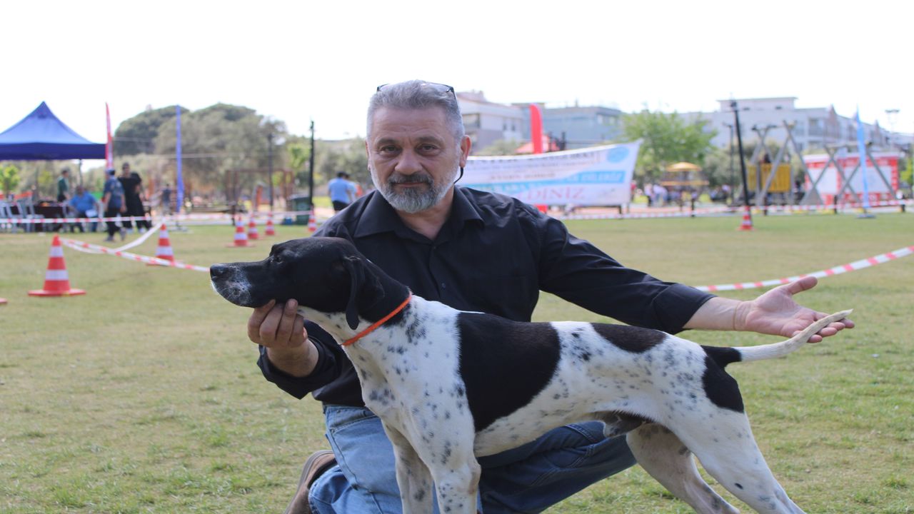 Kopek Guzellik Yarismasi (1)