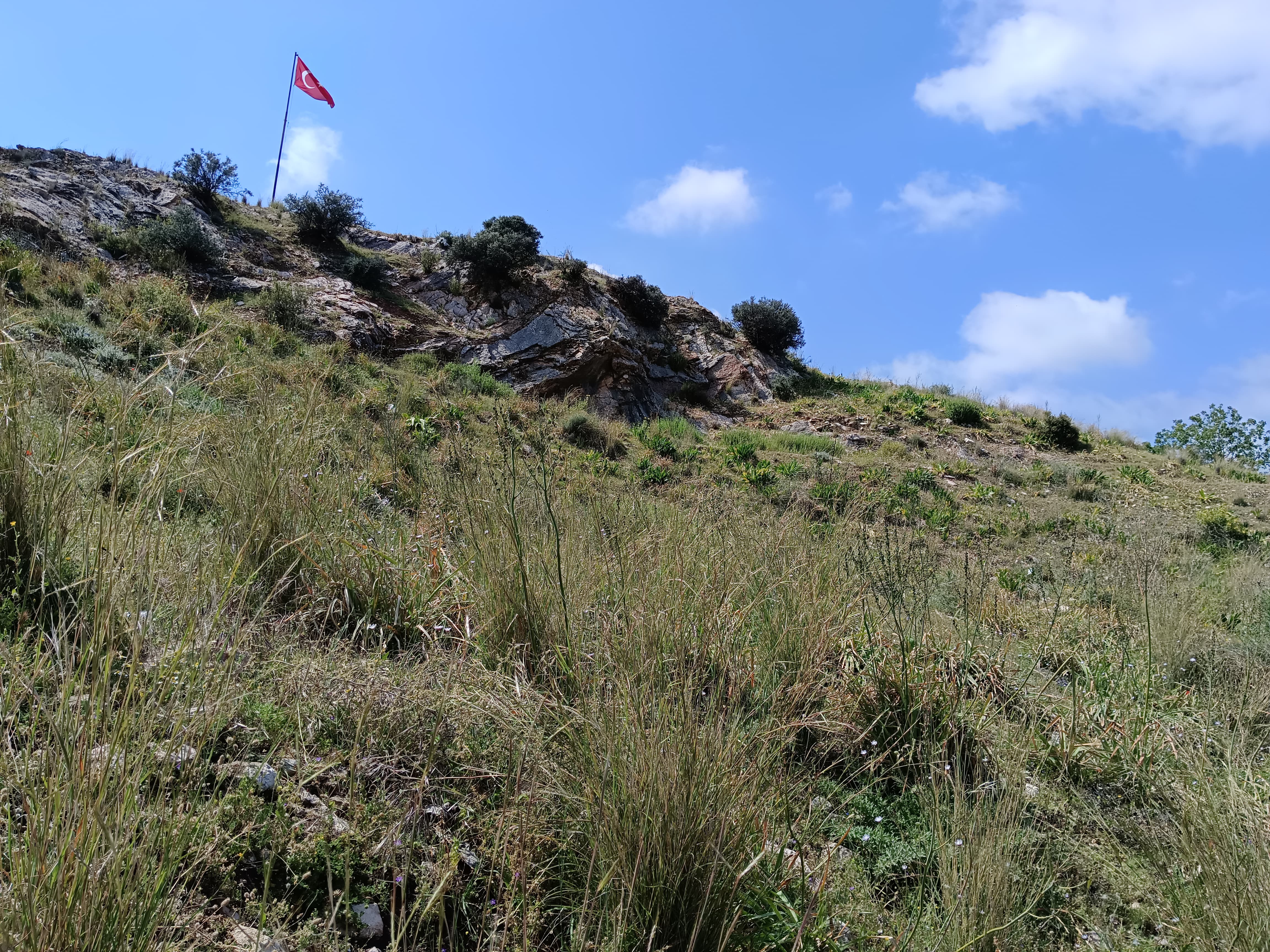 Koridalla (3)