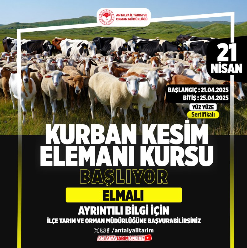 Kurban Kesim Kursu (1)