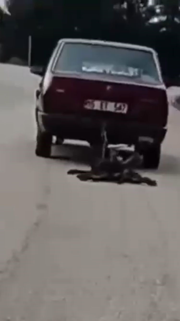 Otomobilin Arkasına Bağladığı Köpeği Sürükledi, Gözaltına Alındı (1)