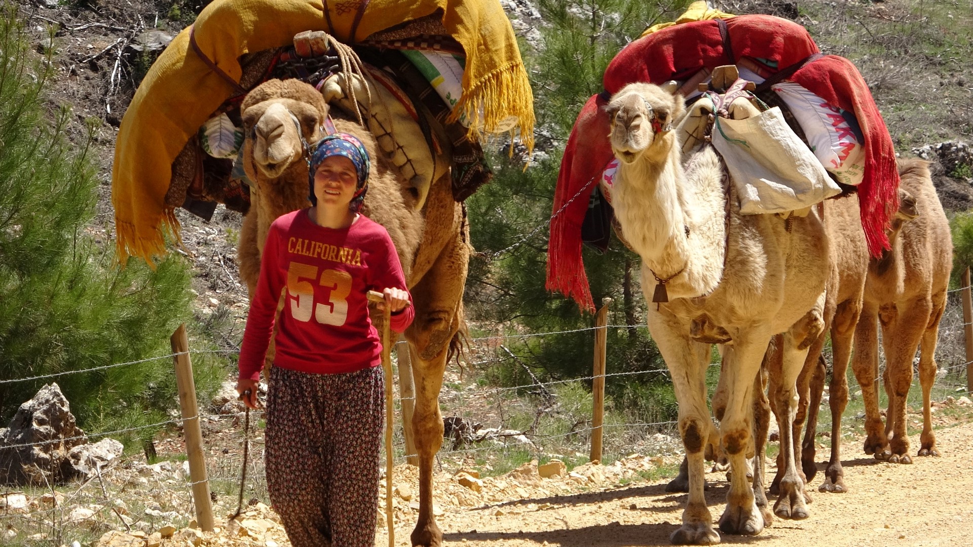 Sarıkeçili Yörükleri Yaylalara Göç Yolculuğuna Başladı (3) (Large)