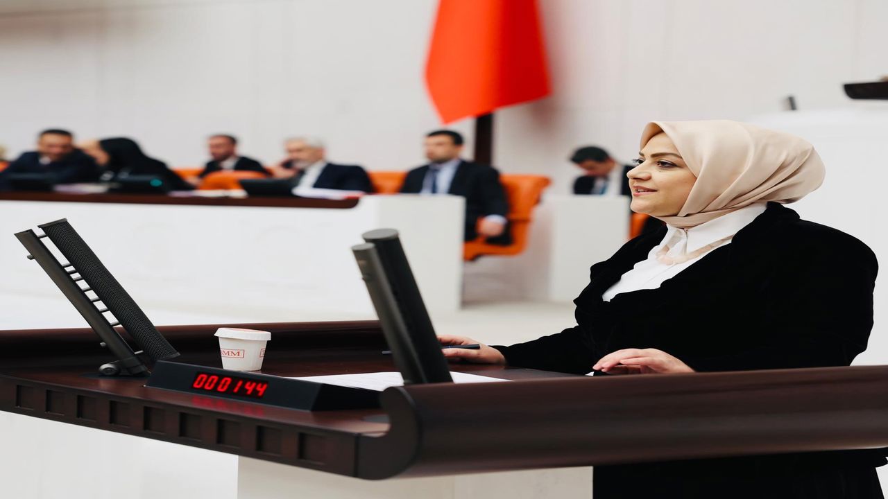 Sema Silkin Un (2)