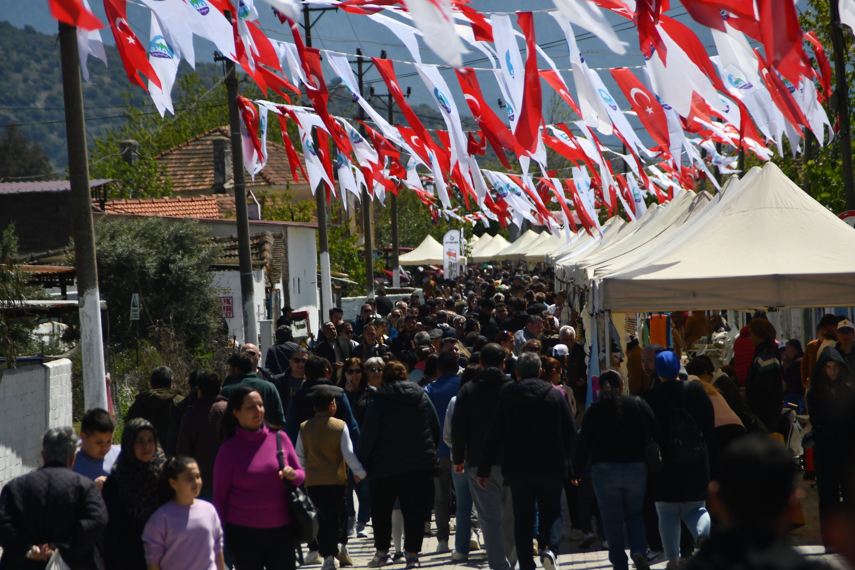 Serçin'deki Yılan Balığı Festivali Vatandaşlardan Yoğun Ilgi Gördü (1)