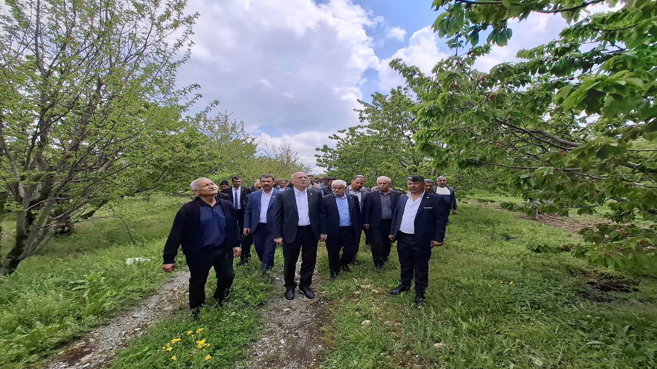 Tzob Baskani Bayraktar (2)