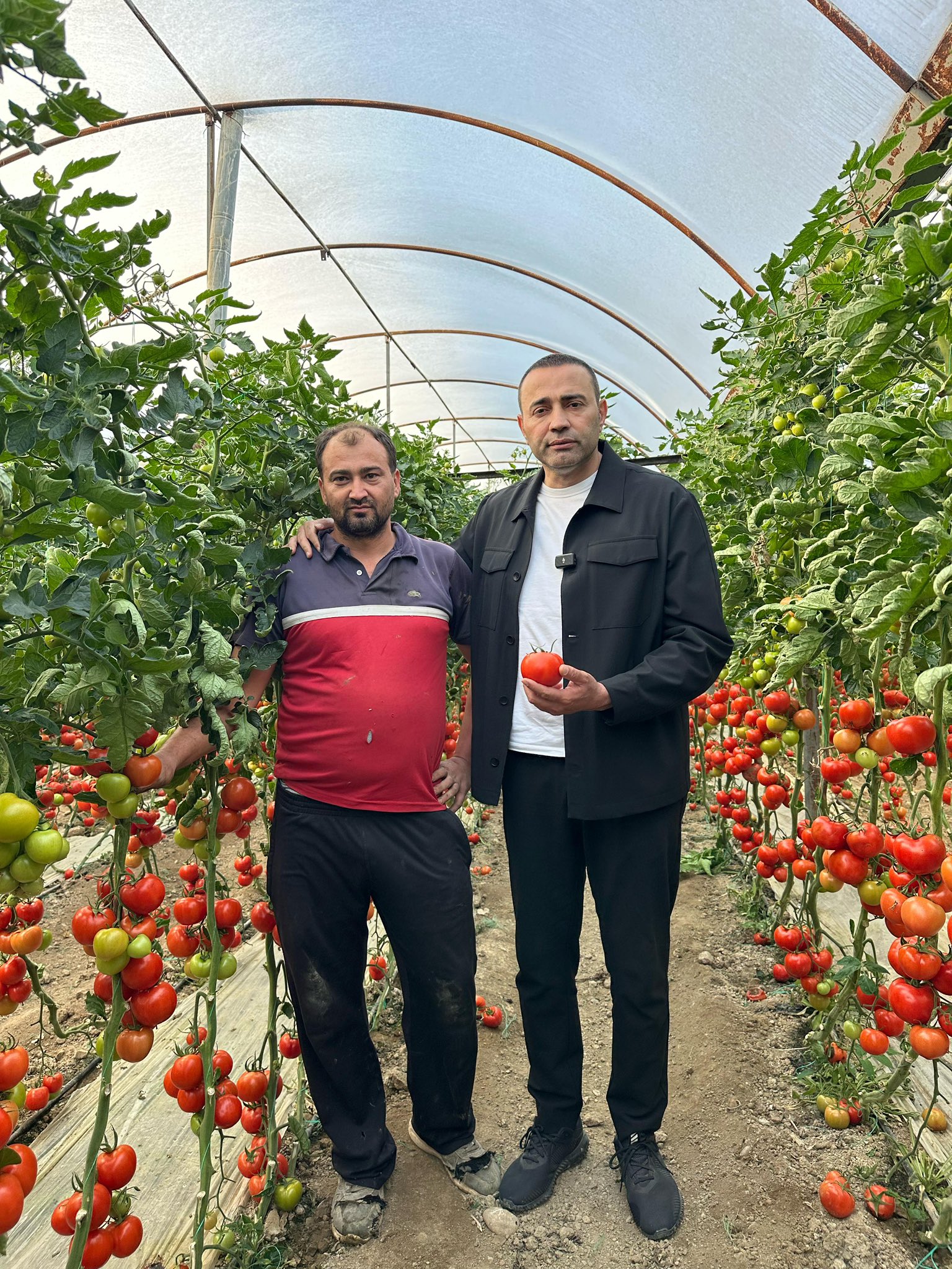 Üretim Merkezi Antalya’da Üreticiden Korkutan Çağrı; “Seneye Ekmeyeceğiz” (2)