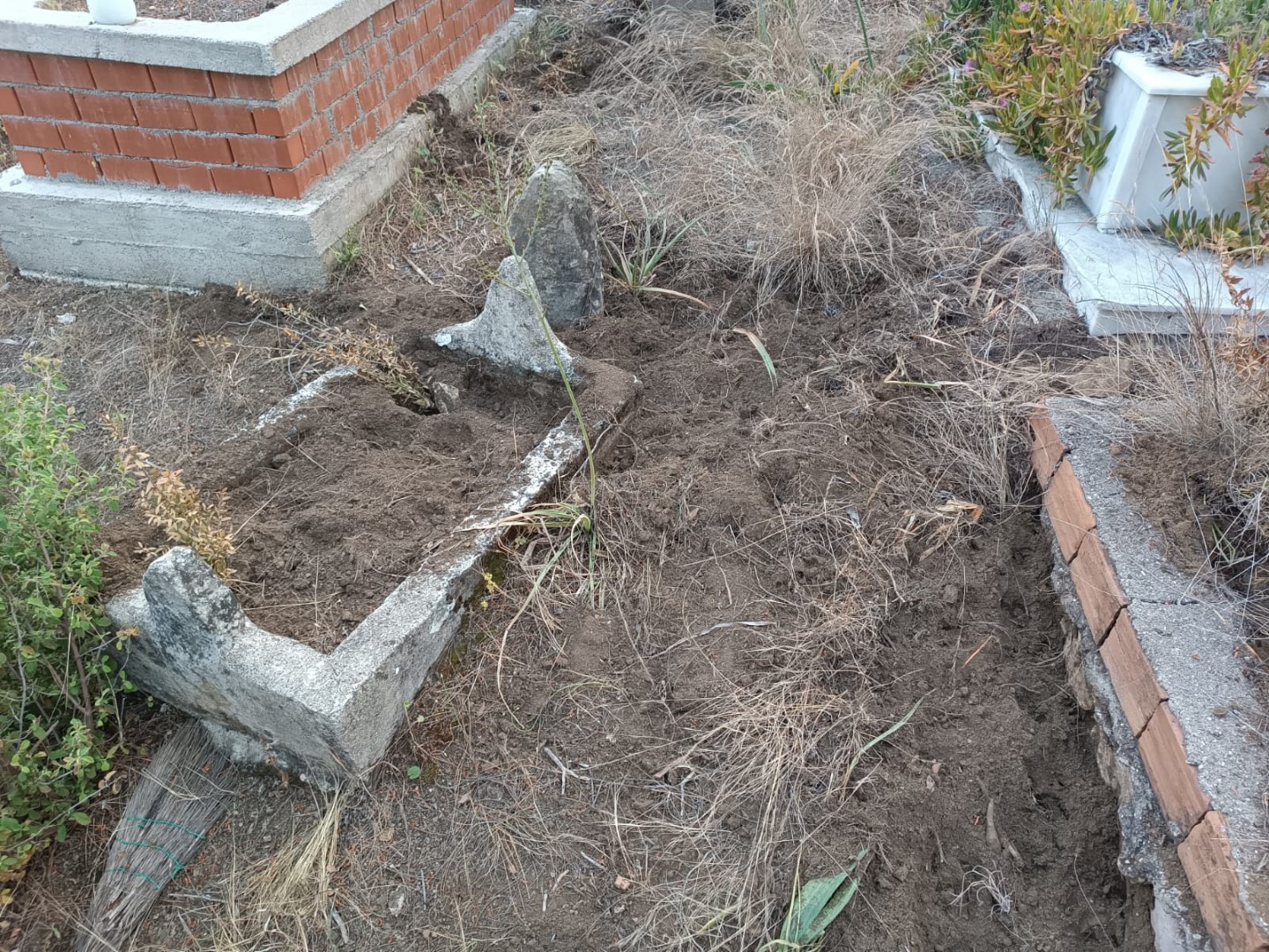 Yaban Domuzları Mezarlara Zarar Verdi (1)