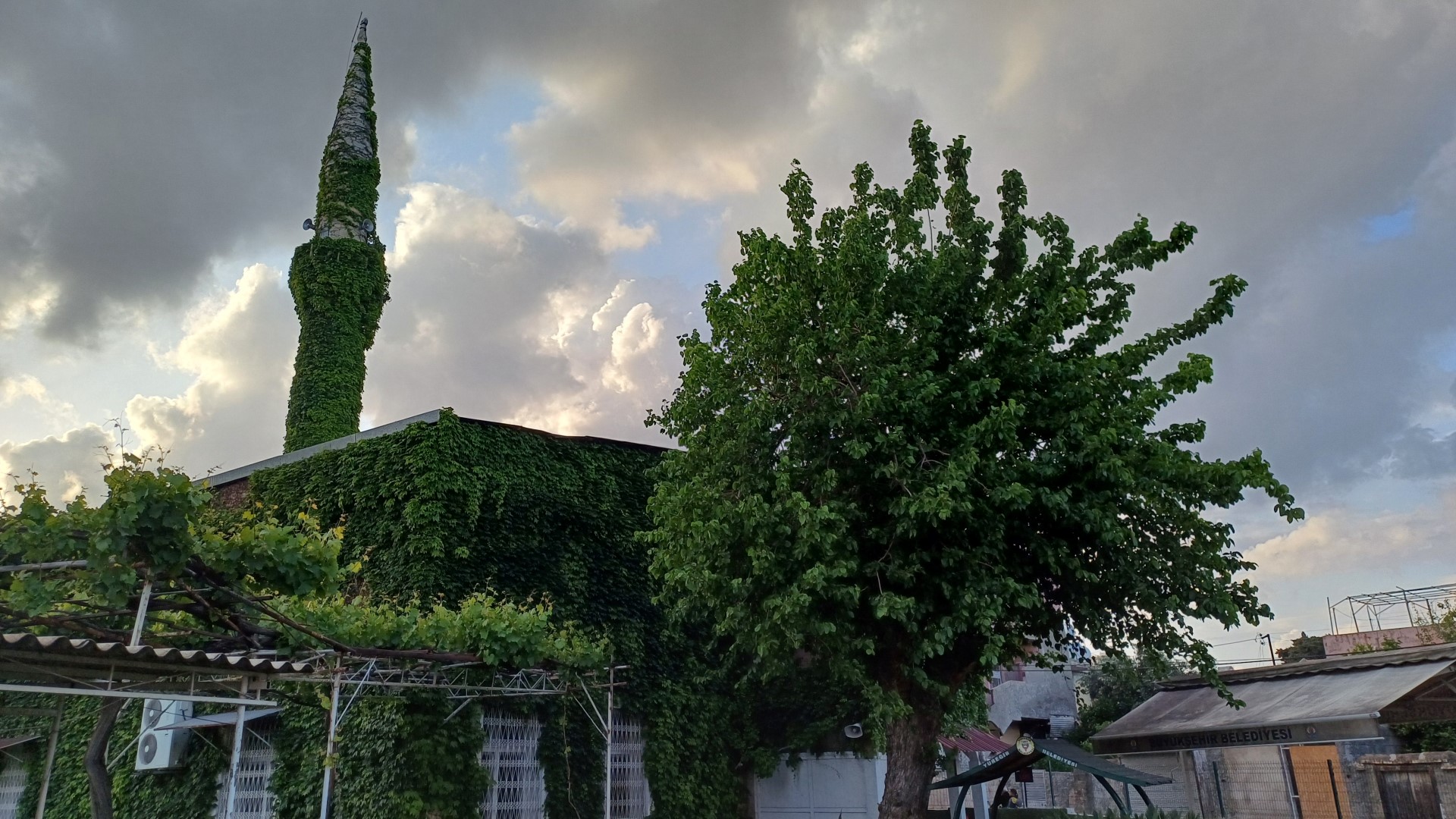 Yeşil Cami (1)