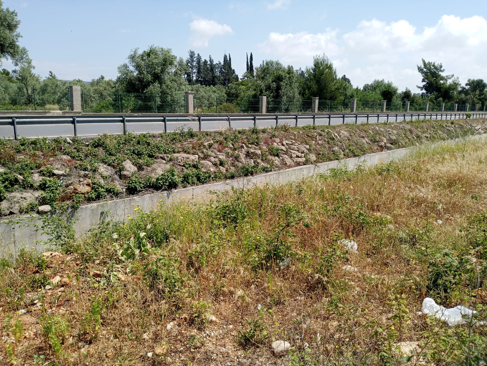 Ahatlı Muhtar (8)