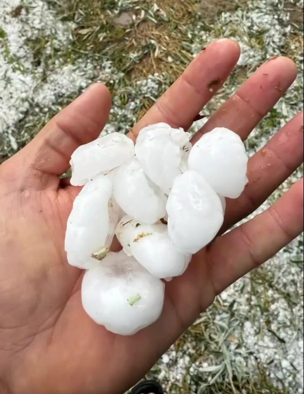 Antalya’da Yaz Ortasında Dolu Afeti (2)
