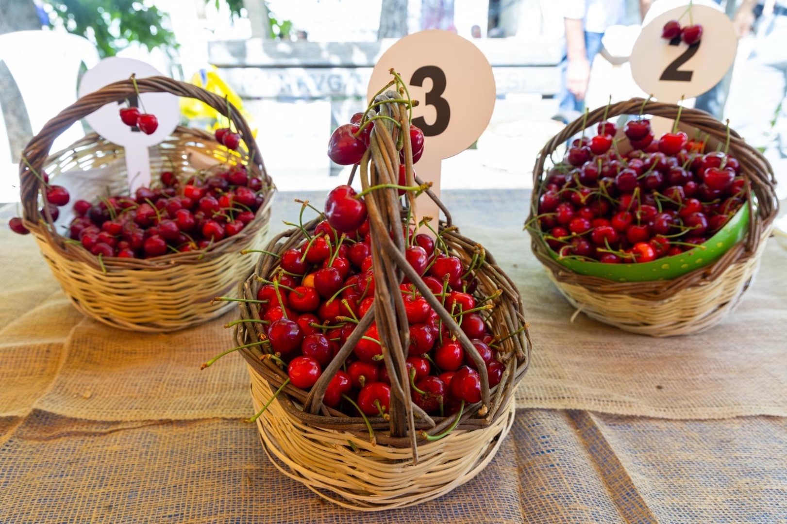 Burmahan’da Ilk Kez Kiraz Festivali Düzenlendi (3) (Large)