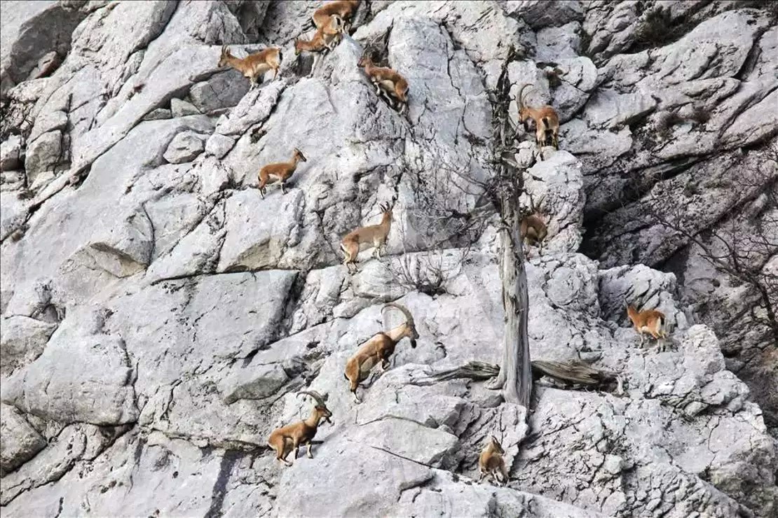 Giden Gelmez Dağları 4