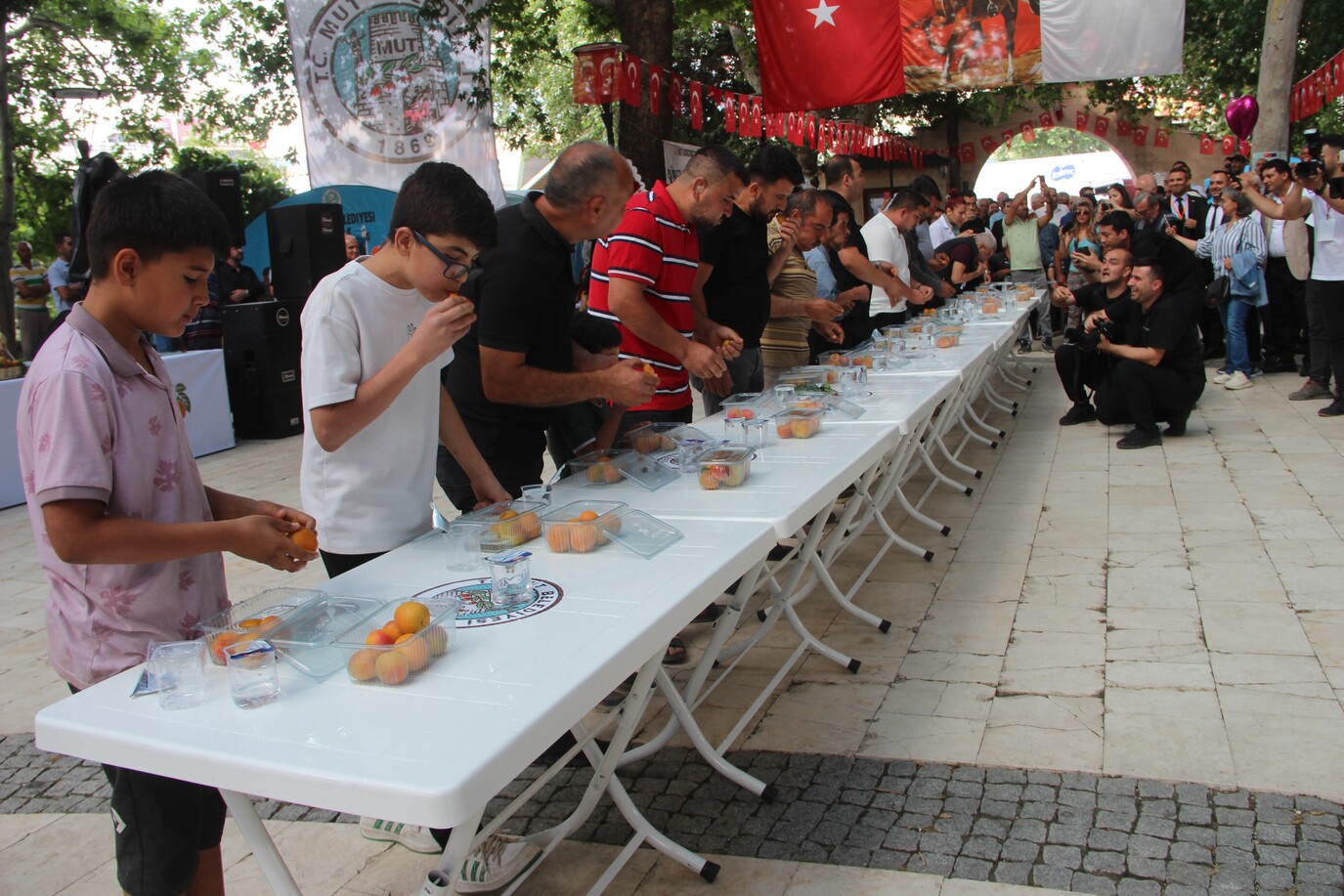 Karacaoglan Kayisi Kultur Ve Sanat Festivali (1)