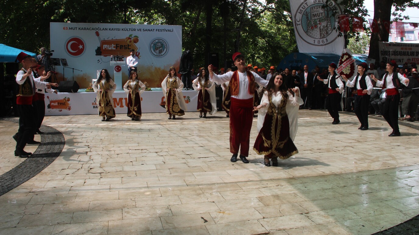 Karacaoglan Kayisi Kultur Ve Sanat Festivali (2)