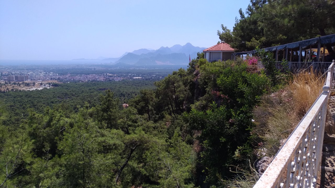 Kent Ormanı Duacı (1)-1