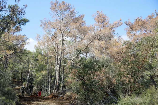 Kent Ormanı Duacı (1)