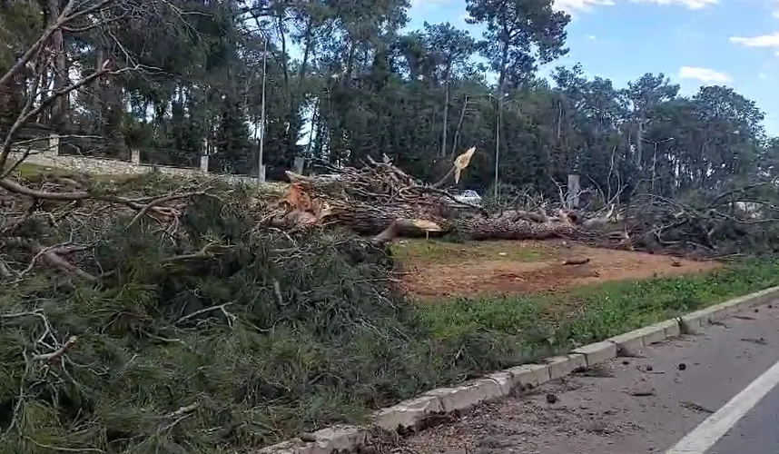 Kent Ormanı Duacı (2)-1