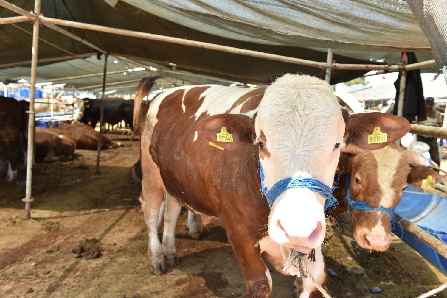 Kepezde Kurban Pazari 2 Noktada Hizmette 4