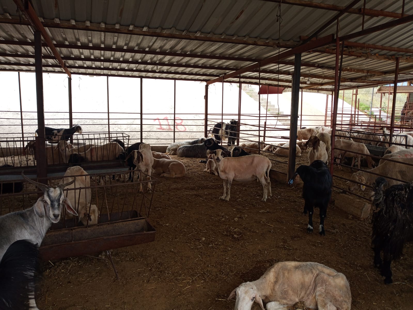 Kesim Yerleri (5)