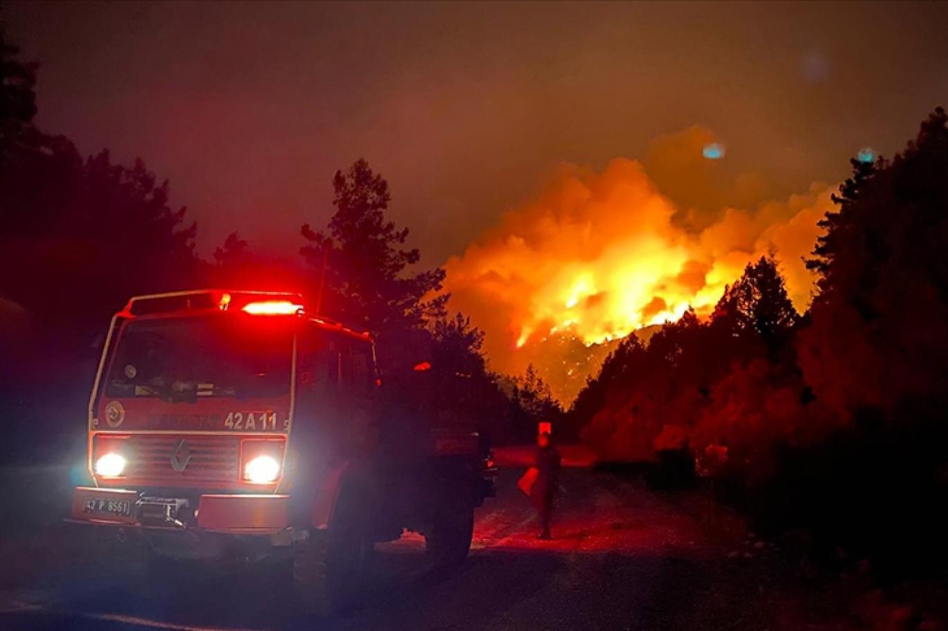 Orman Yangını (4)-1