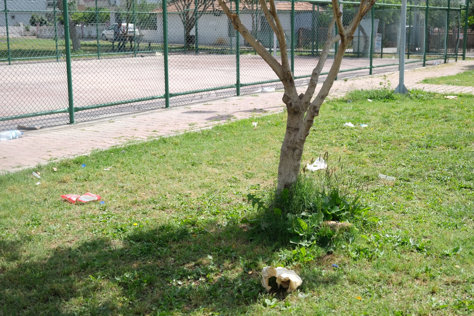 Park Kirliliği (3) (Large)