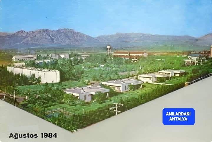 1984 Yılında Dokumadaki Pil Fabrikası Ve Çevresi