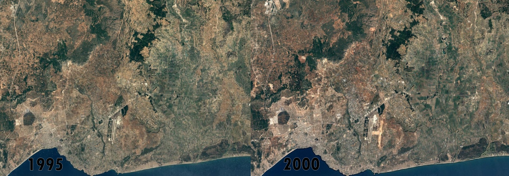 1995 2000 Tarim Arazisi