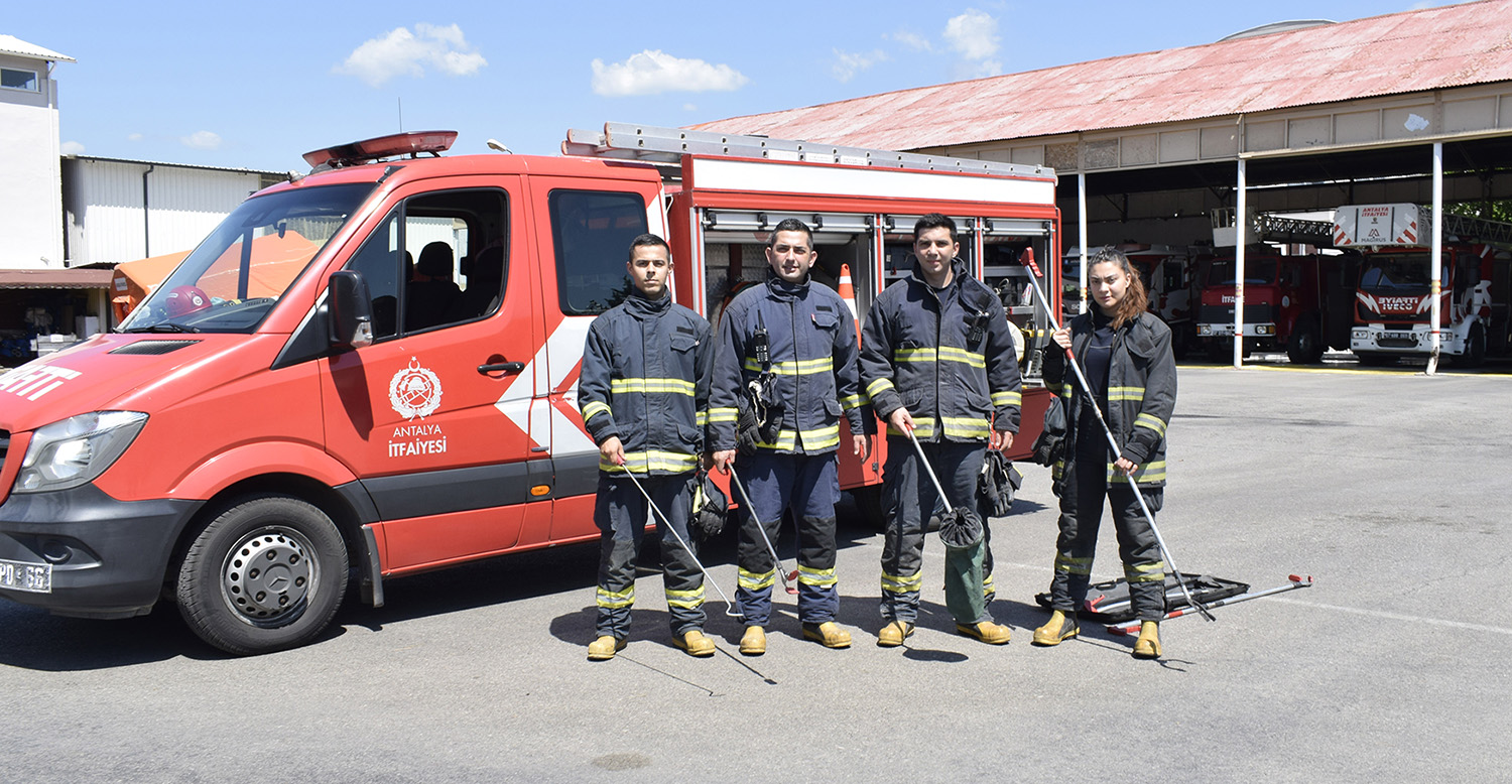 Acikta Birakilan Sut Yilanlari Cezbediy (1)