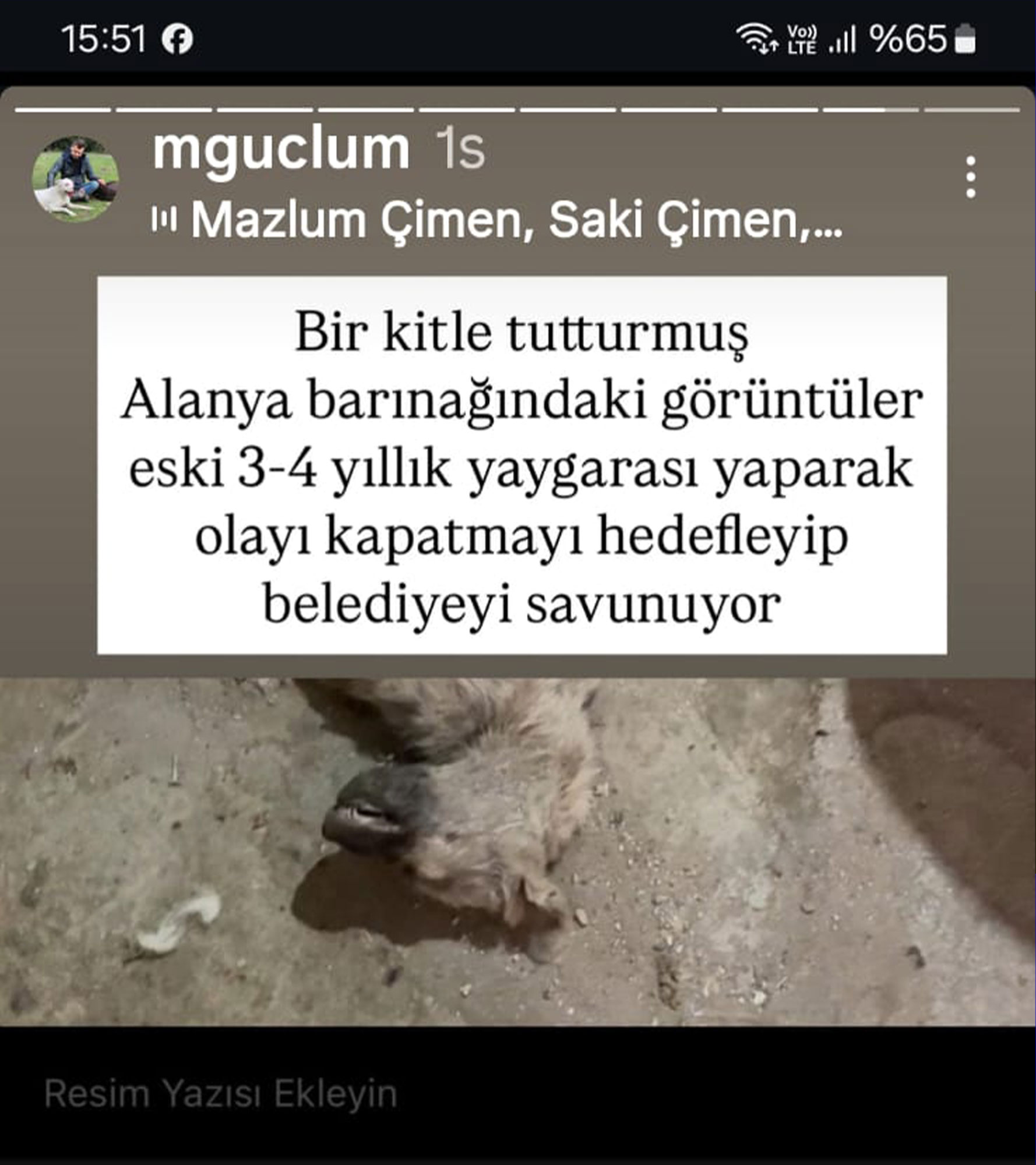 Alanyada Sokak Hayvanlarına Eziyet