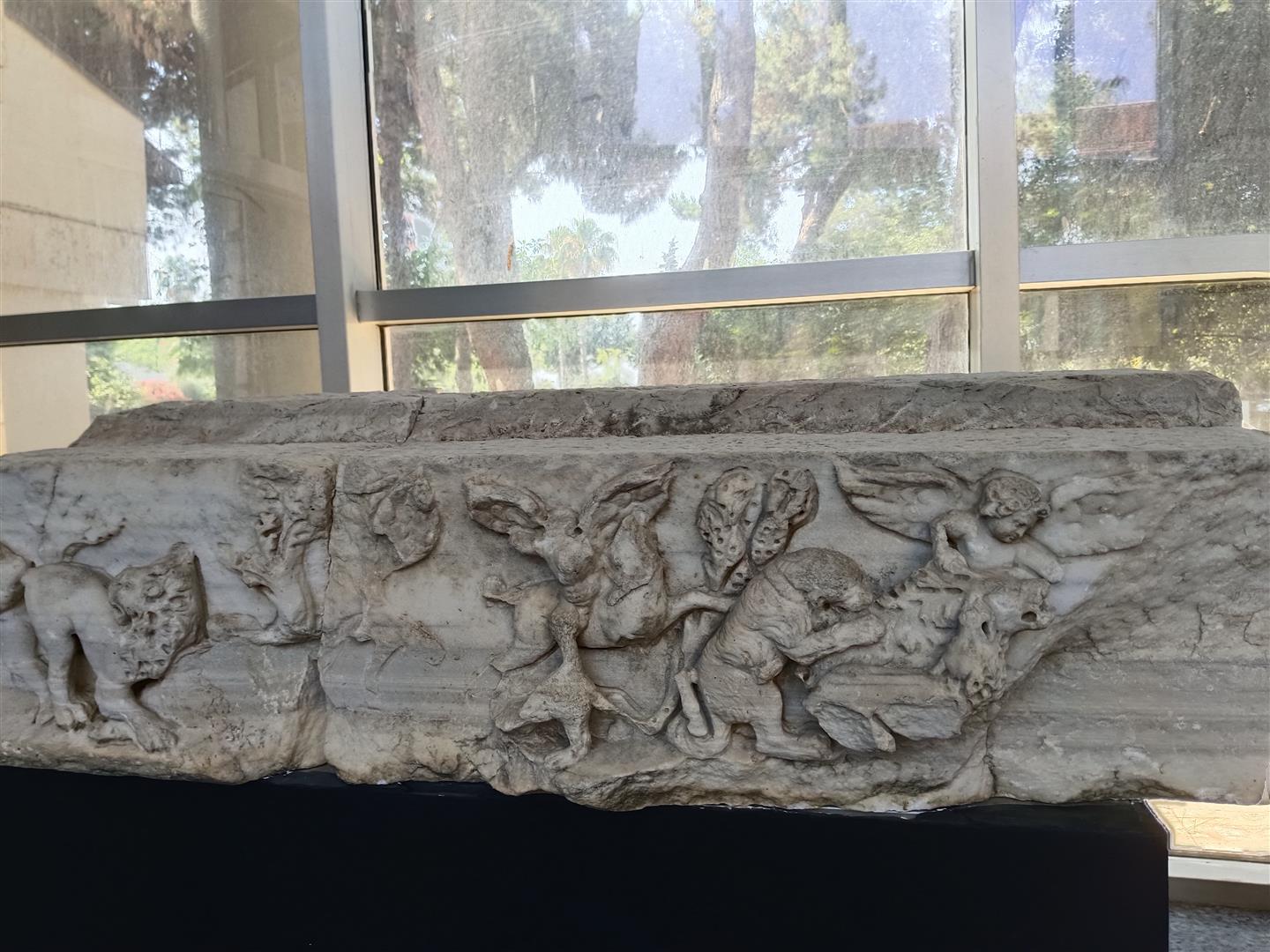 Anadolu Parsi En Net Kaniti (4)