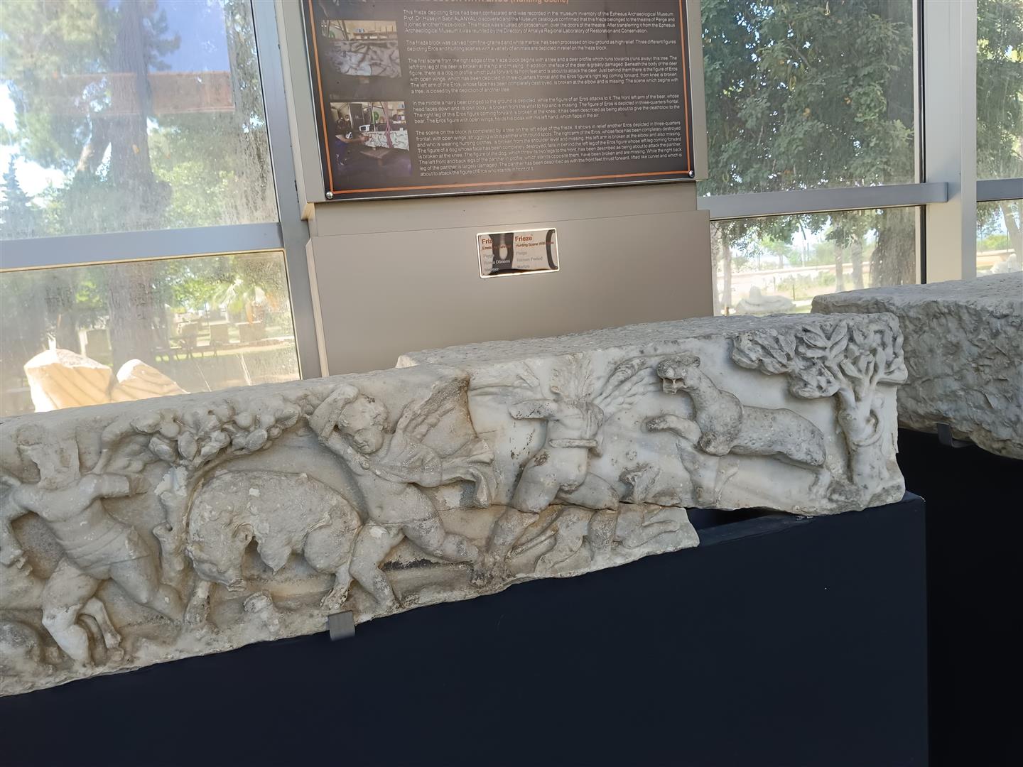 Anadolu Parsi En Net Kaniti (5)