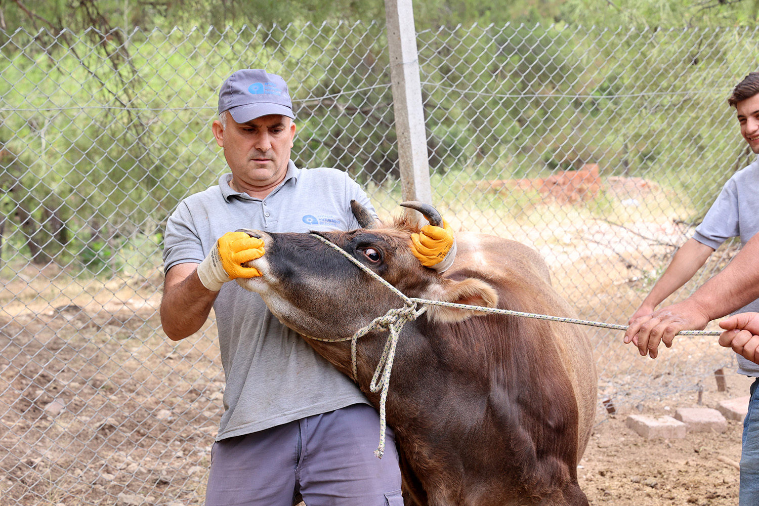 Antalya Büyükşehir Belediyesi Kaçanı Yakalayacak! Büyük Hazırlık (5)