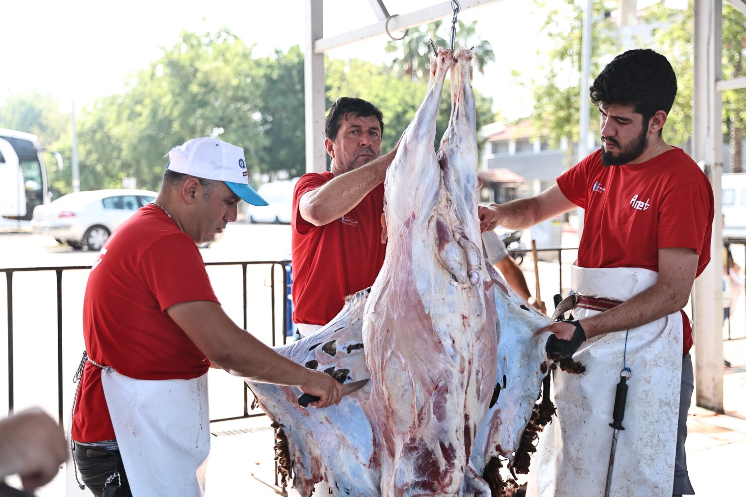 Antalya Büyükşehir Belediyesi’nden Hijyenik Ortamda Ücretsiz Kurban Kesim Hizmeti (3)