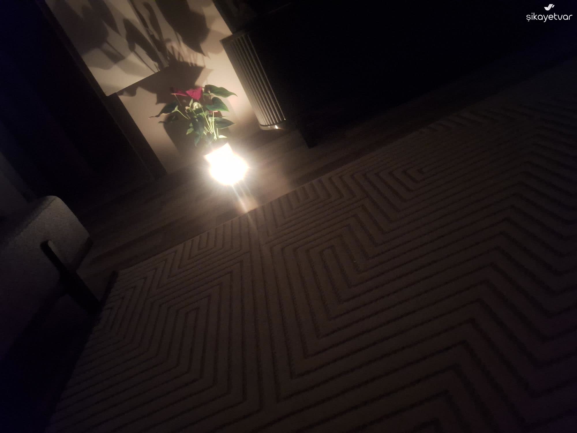 Antalya Kepez Erenkoy Mahallesinde Surekli Elektrik Kesintisi Ve Ilgisizlik 1