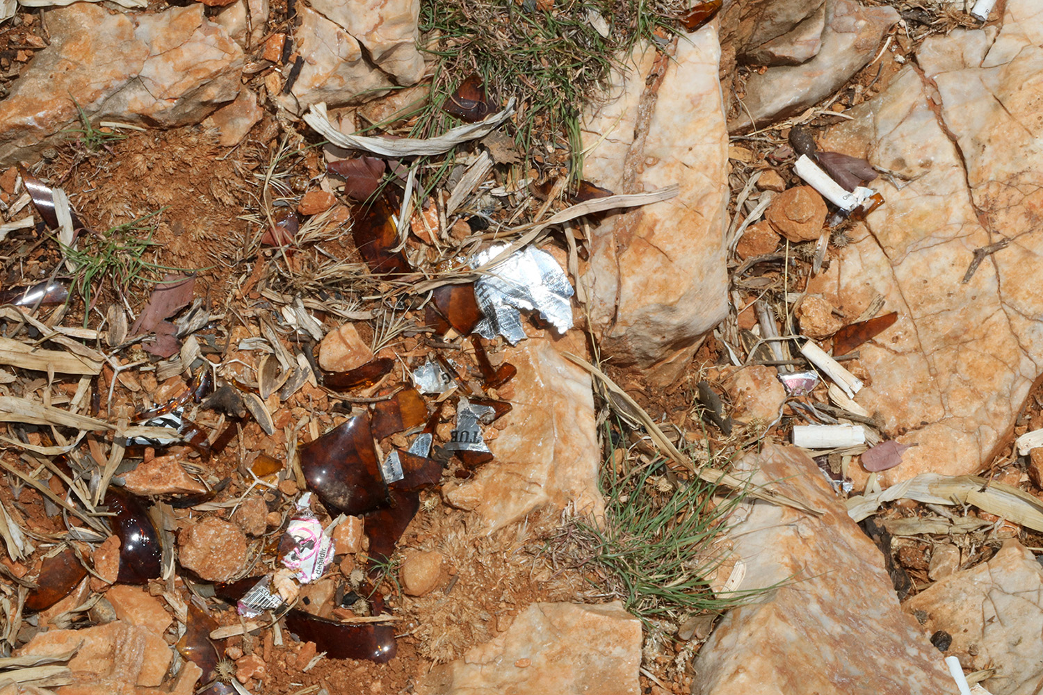 Antalyada Akıl Almaz Olay! Bakın Tarihe Ne Yaptılar (5)