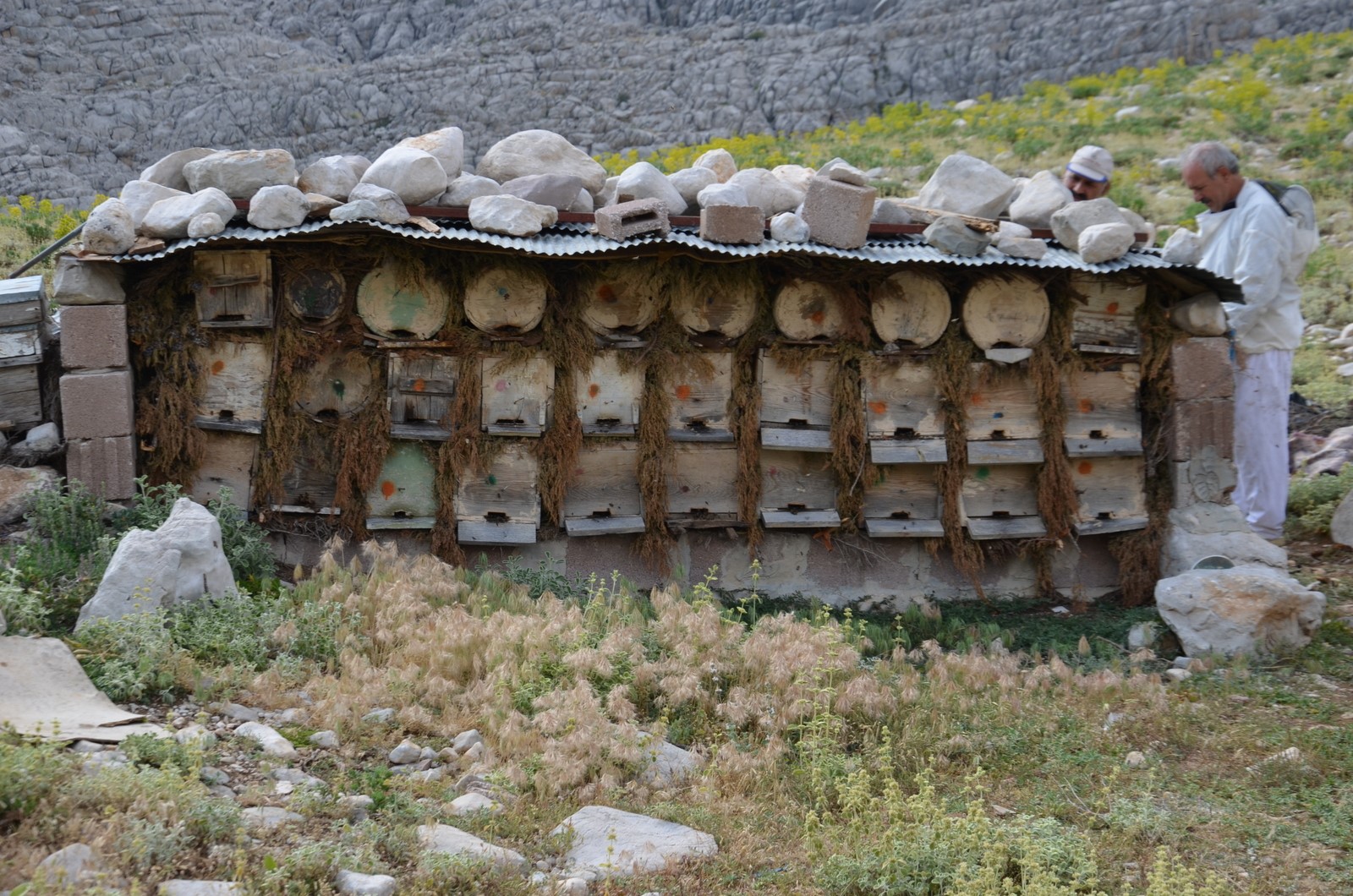 Antalya'da Arıcılar Kara Kovanlarını Yüksek Kesimlerdeki Yaylalara Çıkardı (8)