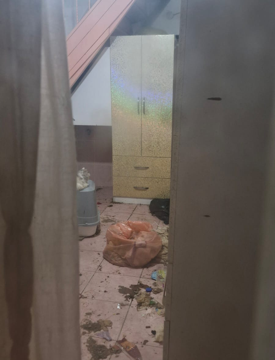 Antalya’da Büyük Katliamı… Gerçekler Baskınla Ortaya Çıktı (2)