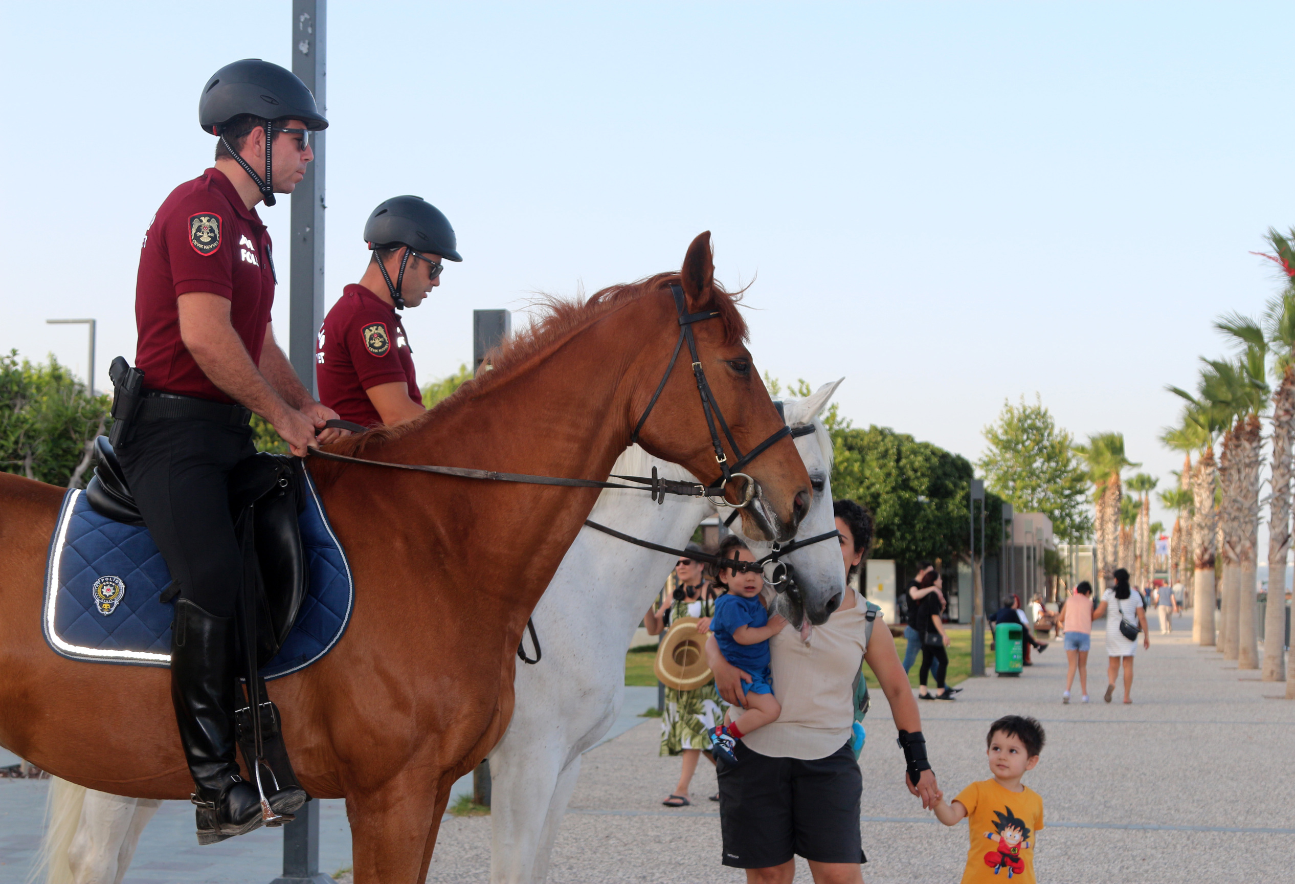 Antalya’nın Dünyaca Ünlü Sahillerini Atlar Koruyacak! Tomalardan Daha Etkililer (4)