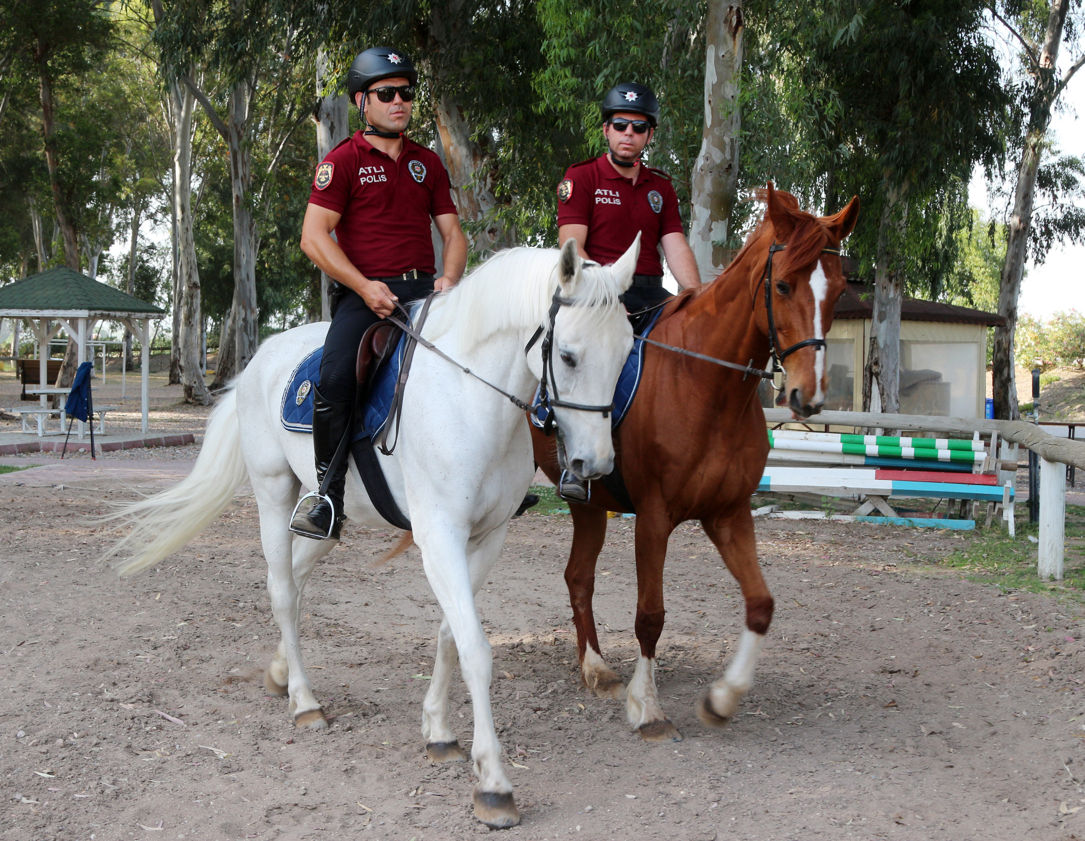 Antalya’nın Dünyaca Ünlü Sahillerini Atlar Koruyacak! Tomalardan Daha Etkililer (6)