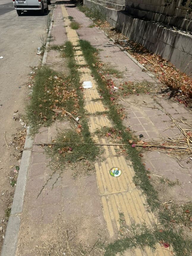 Antalyanin Gobeginde Unutulan Mahalle (2)
