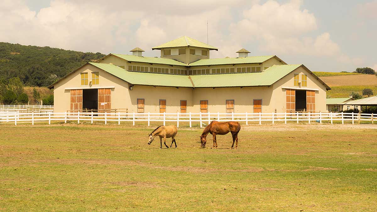 At Ciftligi
