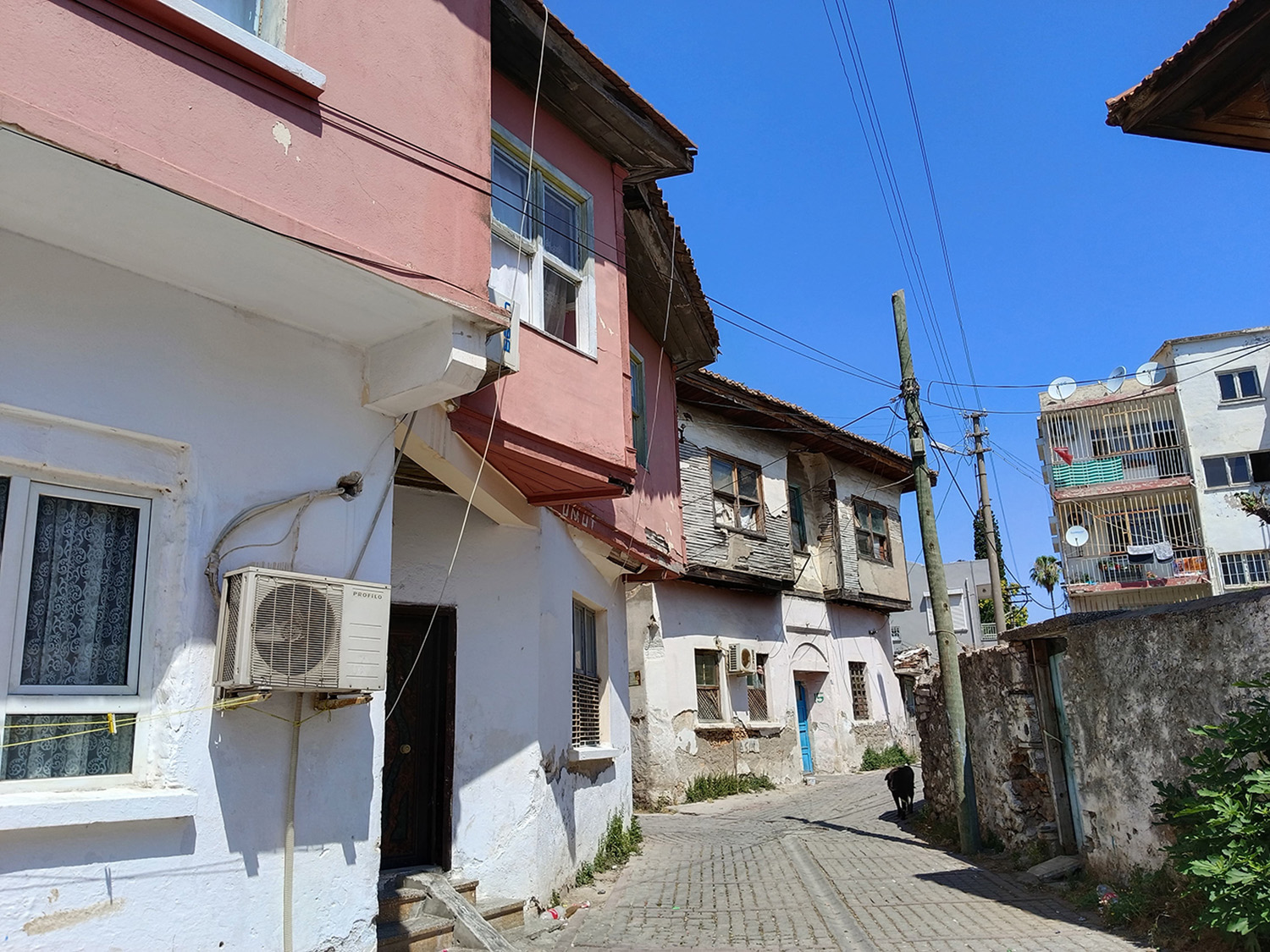 Balbey Sorunu Nedir