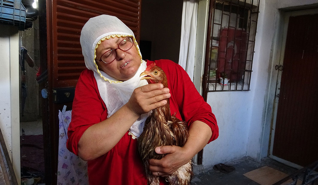 Çocuk Gibi Ağlayan Tavuğunu Kesmeye Kıyamadı (2)