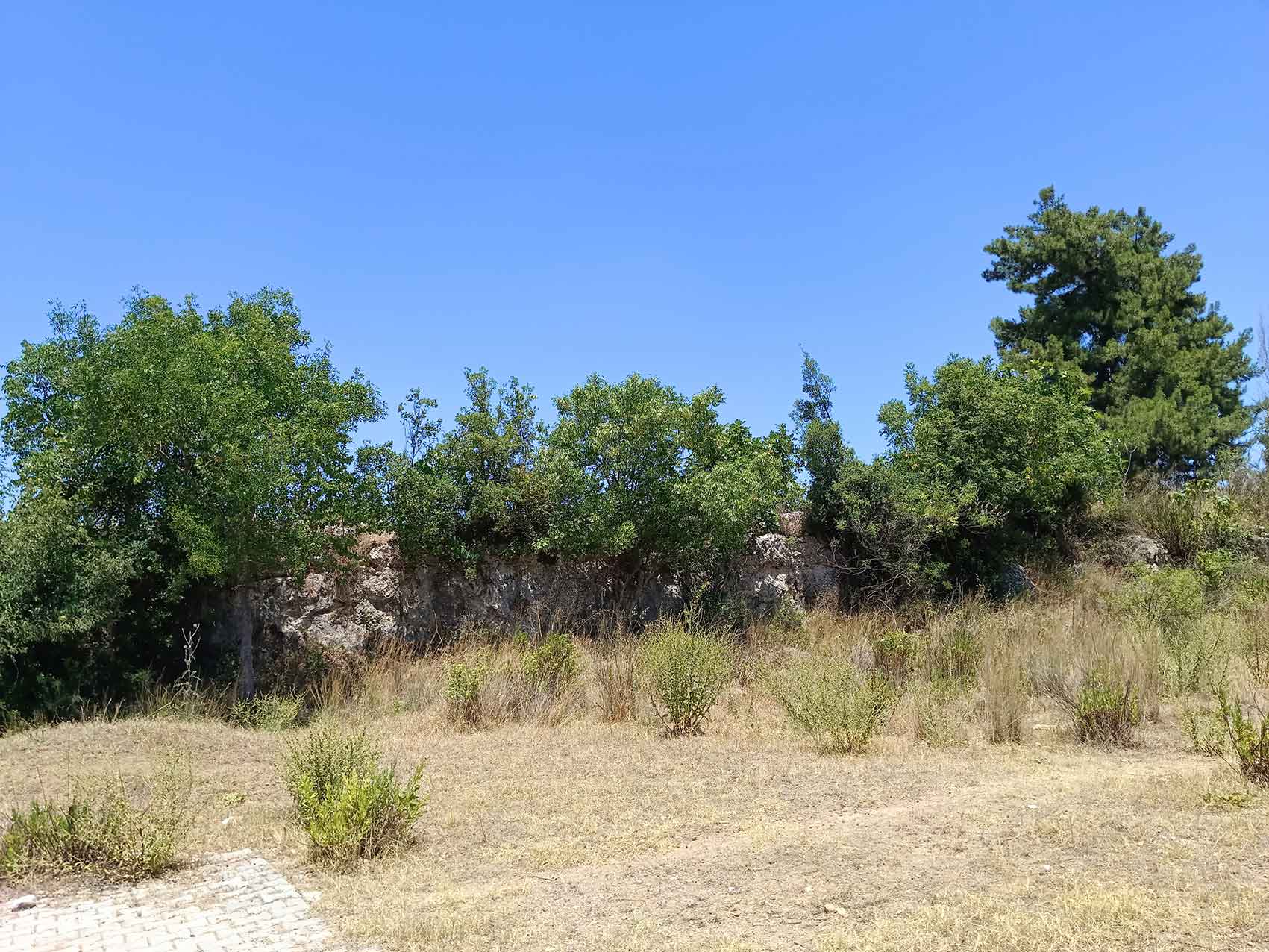 Dosomelatı