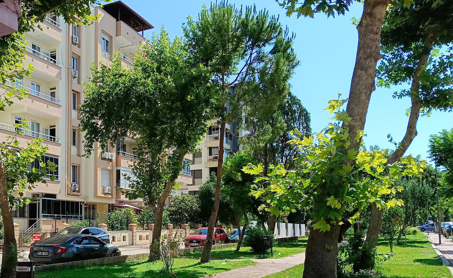 Emekliler Nereye Gidebilir