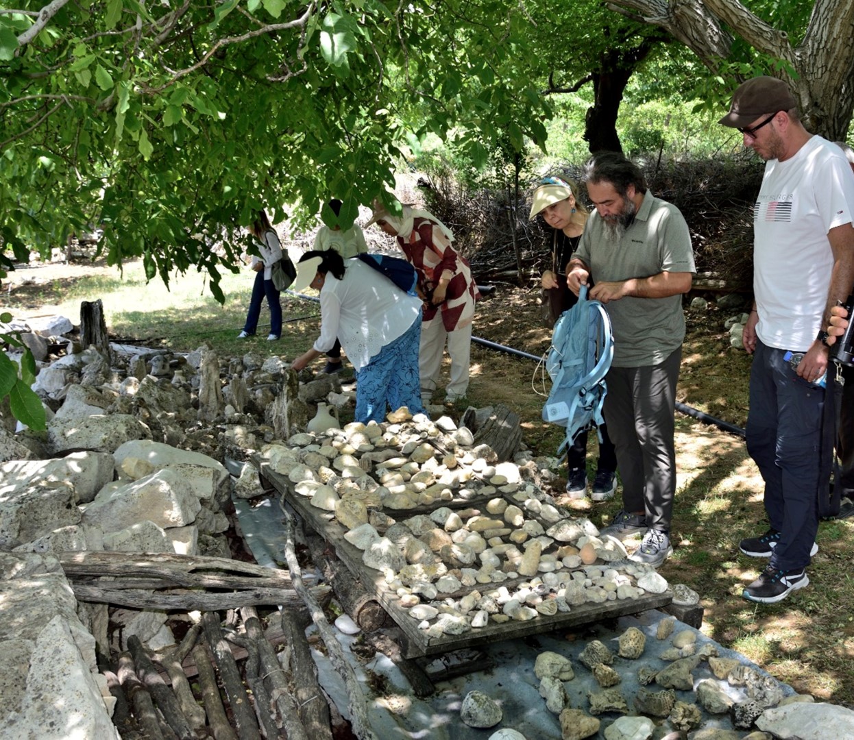 Fosil Araştırması (4)